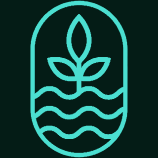 Caladan Consulting Logo